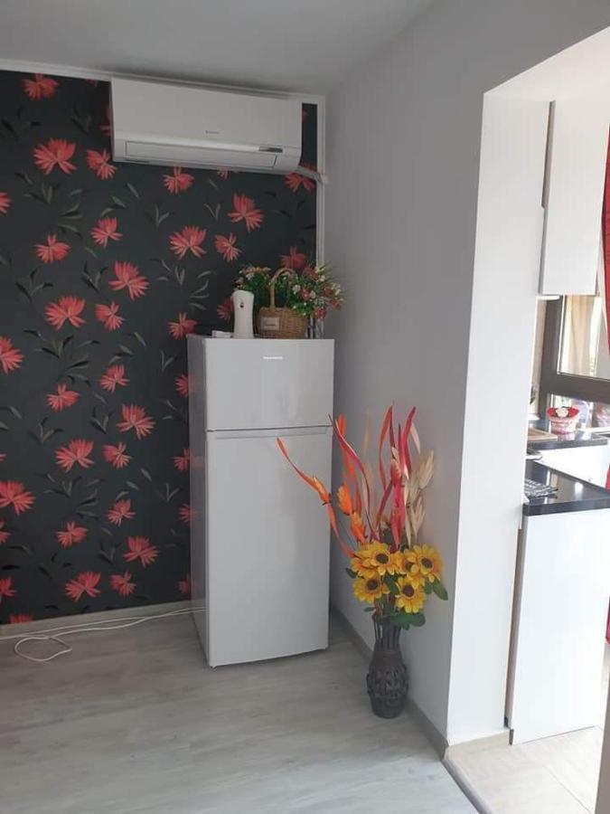 Apartament Alina Saturn Buitenkant foto